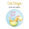 Iron-on & Stick-on Labels Value Pack Cute Dragon