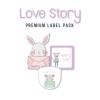 Premium Value Pack Iron-On, Stick-on and Shoe Labels Love Story