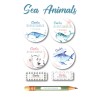 Iron-on & Stick-on Labels Value Pack Sea Animals Iron-on & Stick-on Labels Value Pack Sea Animals